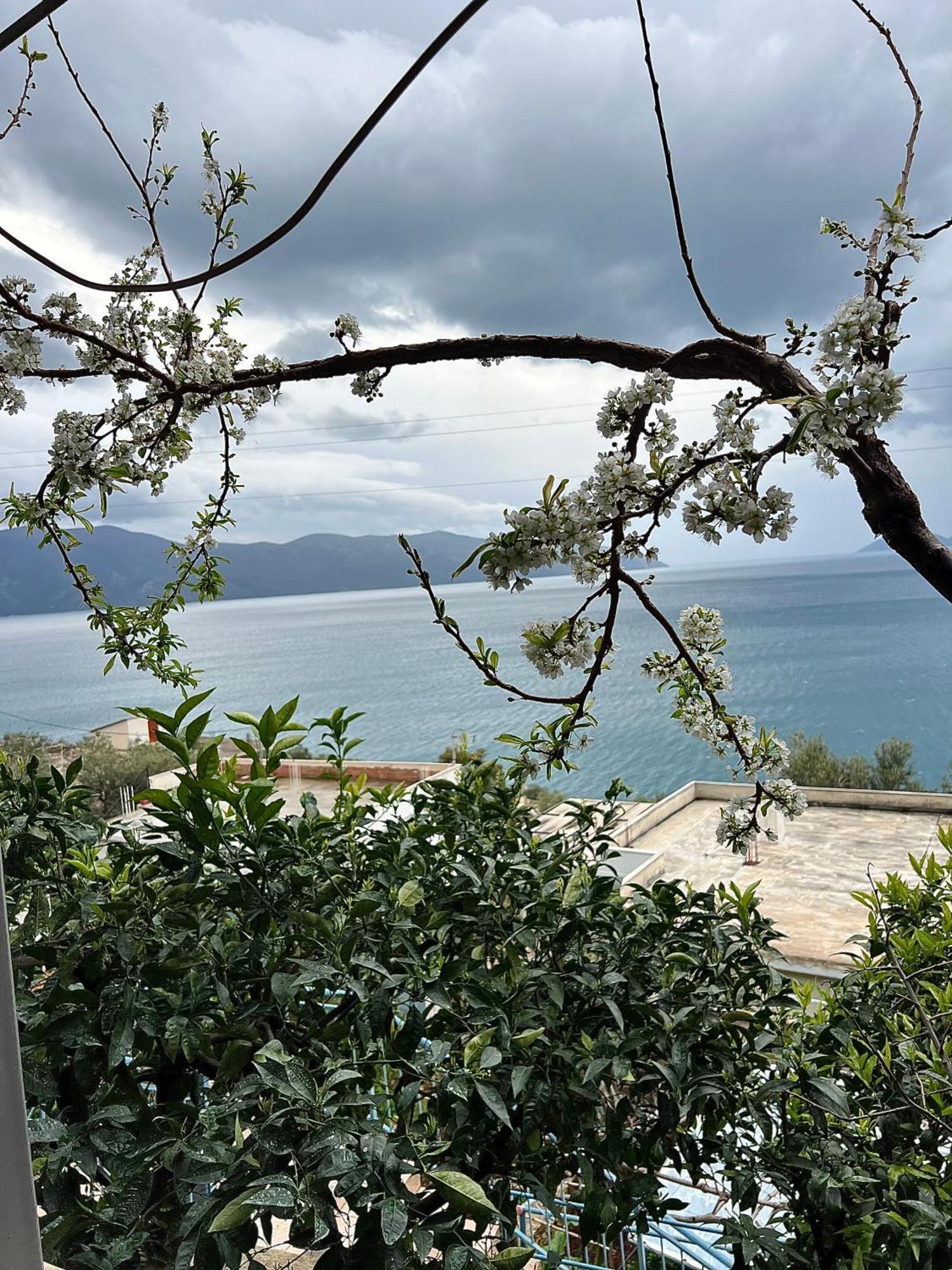 Marisi House Apartment Vlore Bagian luar foto